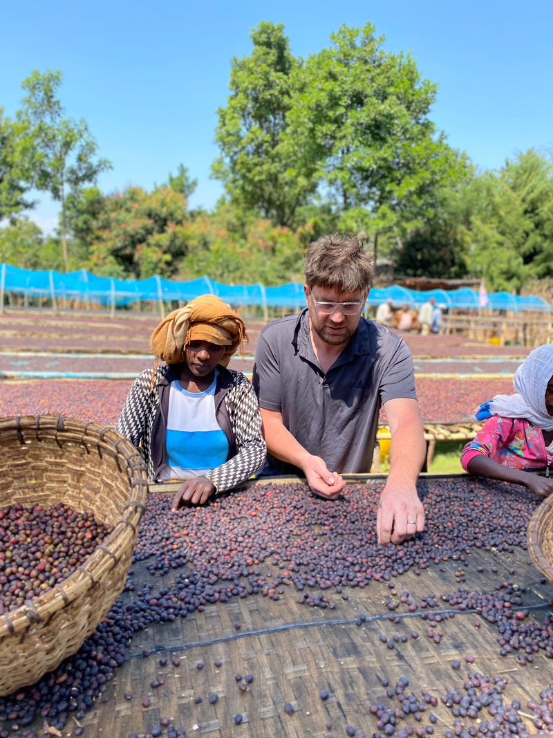 ALL ABOUT ETHIOPIA – Bona Zuria for Espresso