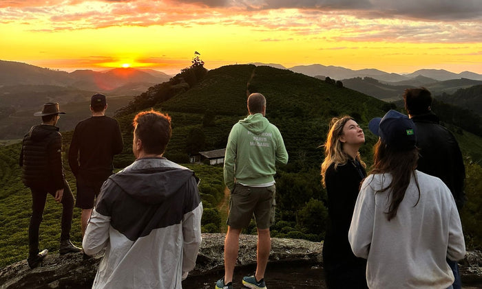 Back to the origin - Fazendas Dutra