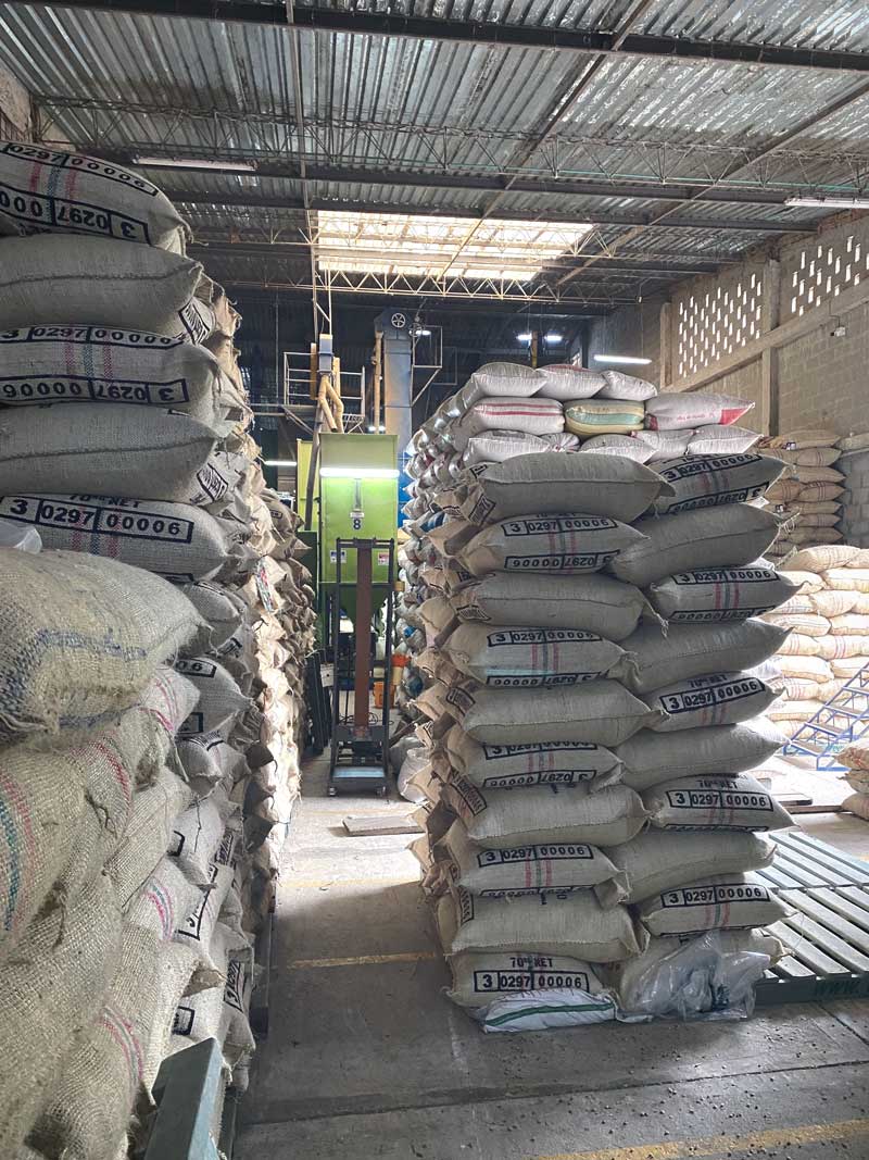 Recette OR Coffee : Colombie – Sugar Cane – Specialty DECAF pour espresso