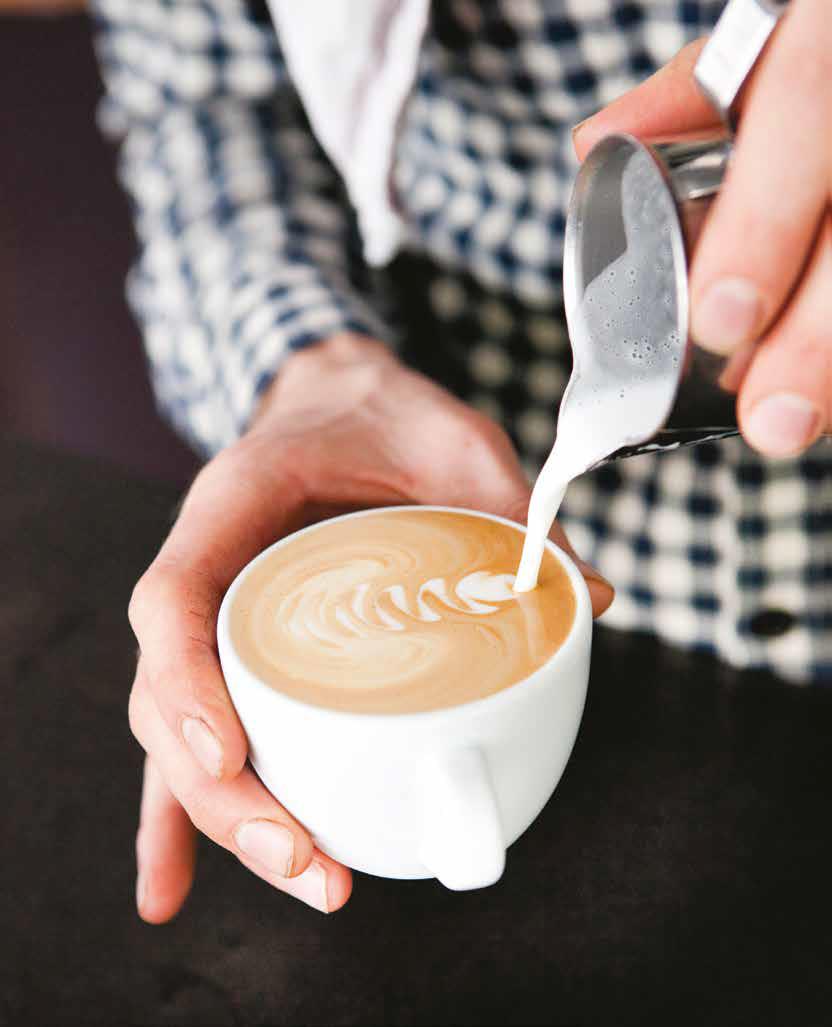 Crafting the perfect cappuccino: a guide to silky milk froth