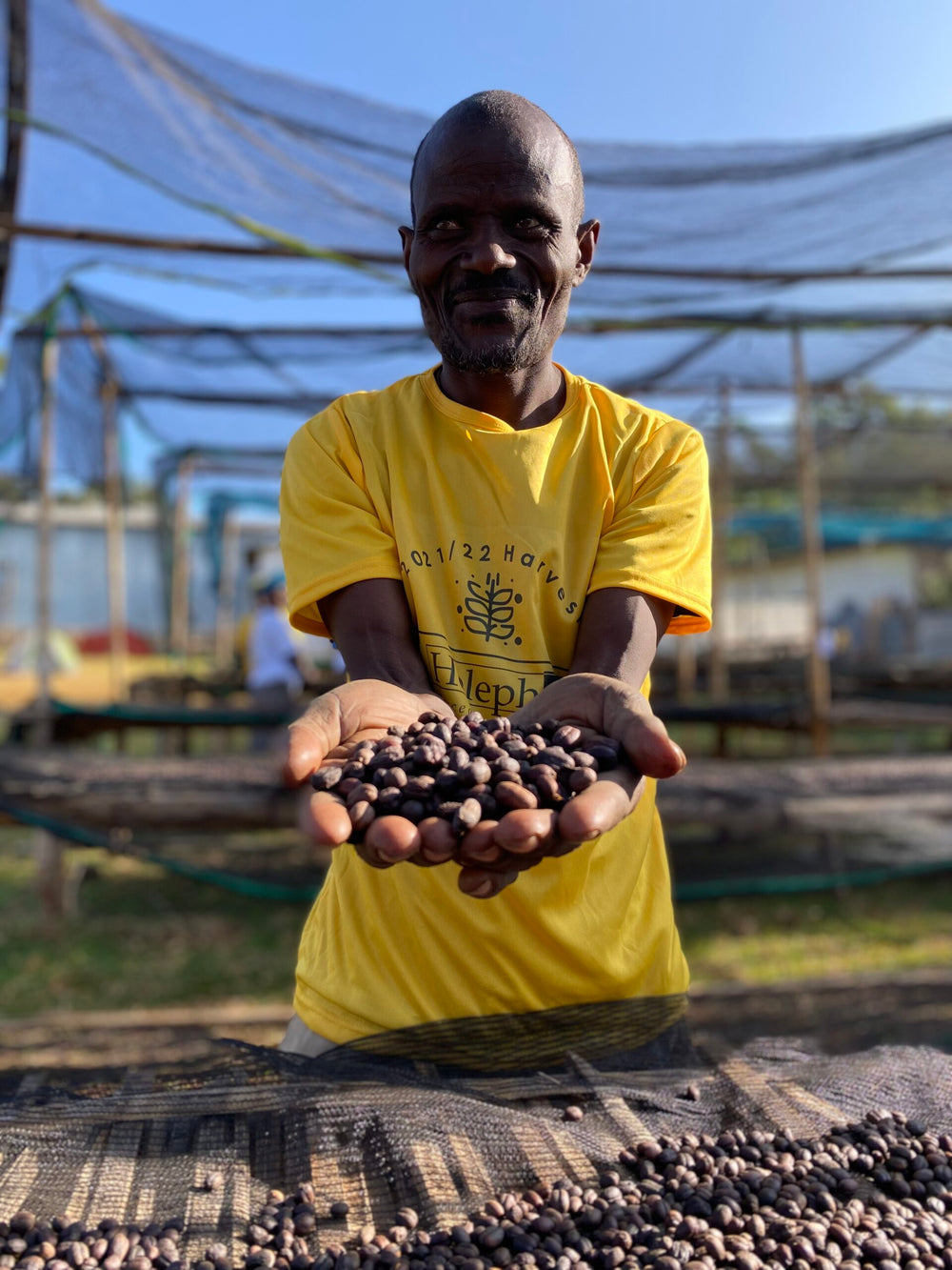 Ethiopia – Qeqe Teshale Natural for espresso