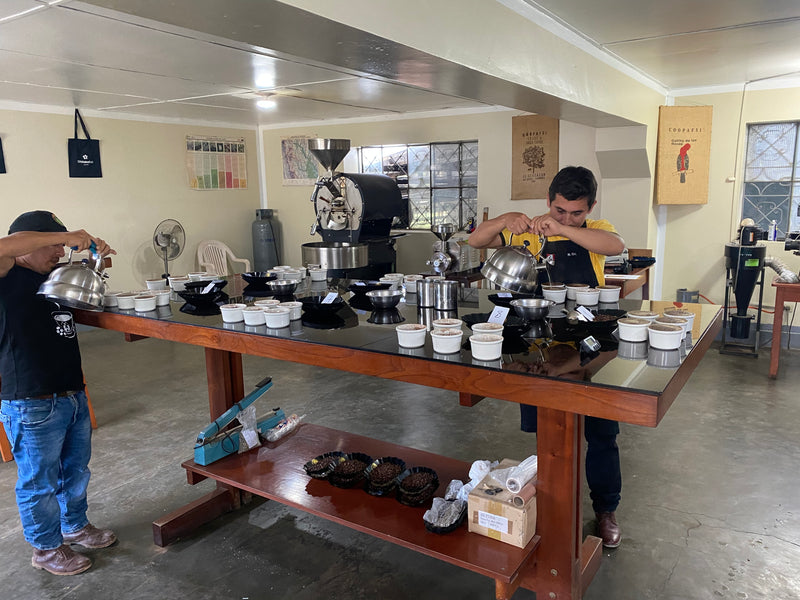 4. How to enjoy this coffee