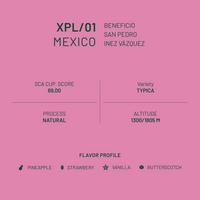 XPL/01 Mexico San Pedro Natural