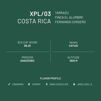 XPL/XMAS Costa Rica Fernando Cordero Anaérobique