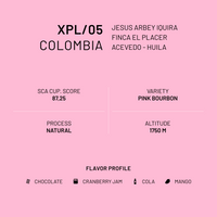 XPL/05 Colombia Pink Bourbon Natural