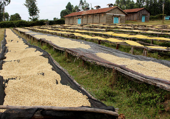 2. The Embu Region